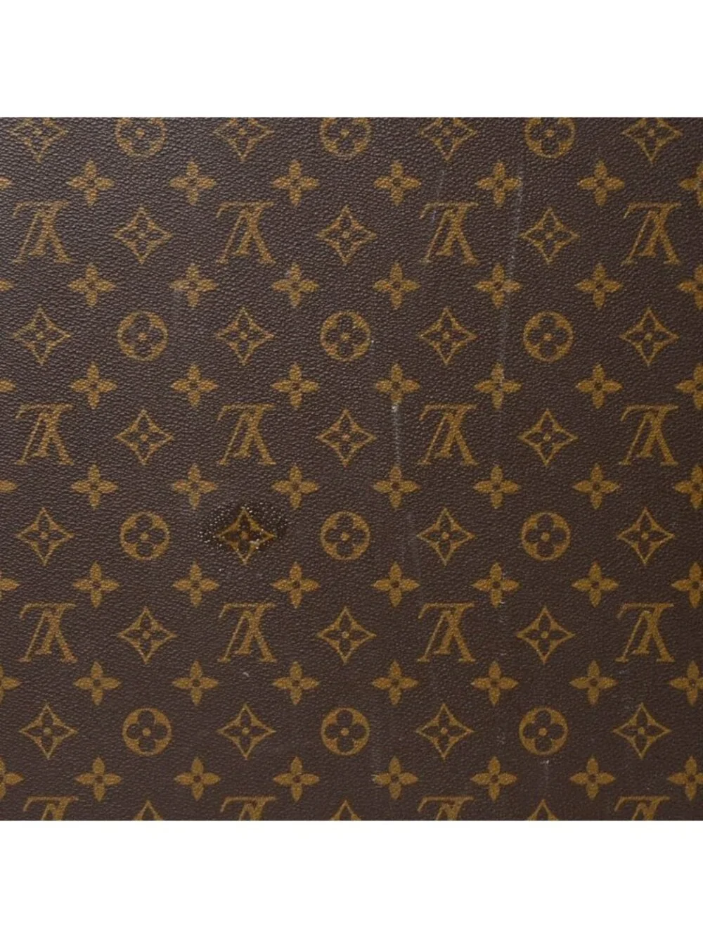 Louis Vuitton brand louis